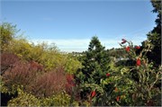 04162011_Lori Home Belmont_80